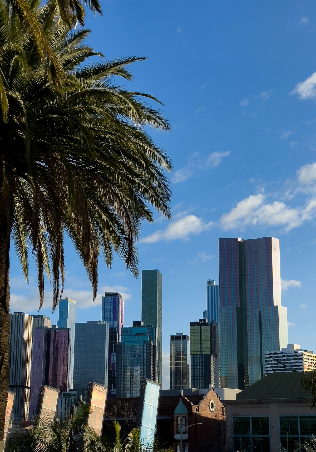 Melbourne skyline framed by palm trees