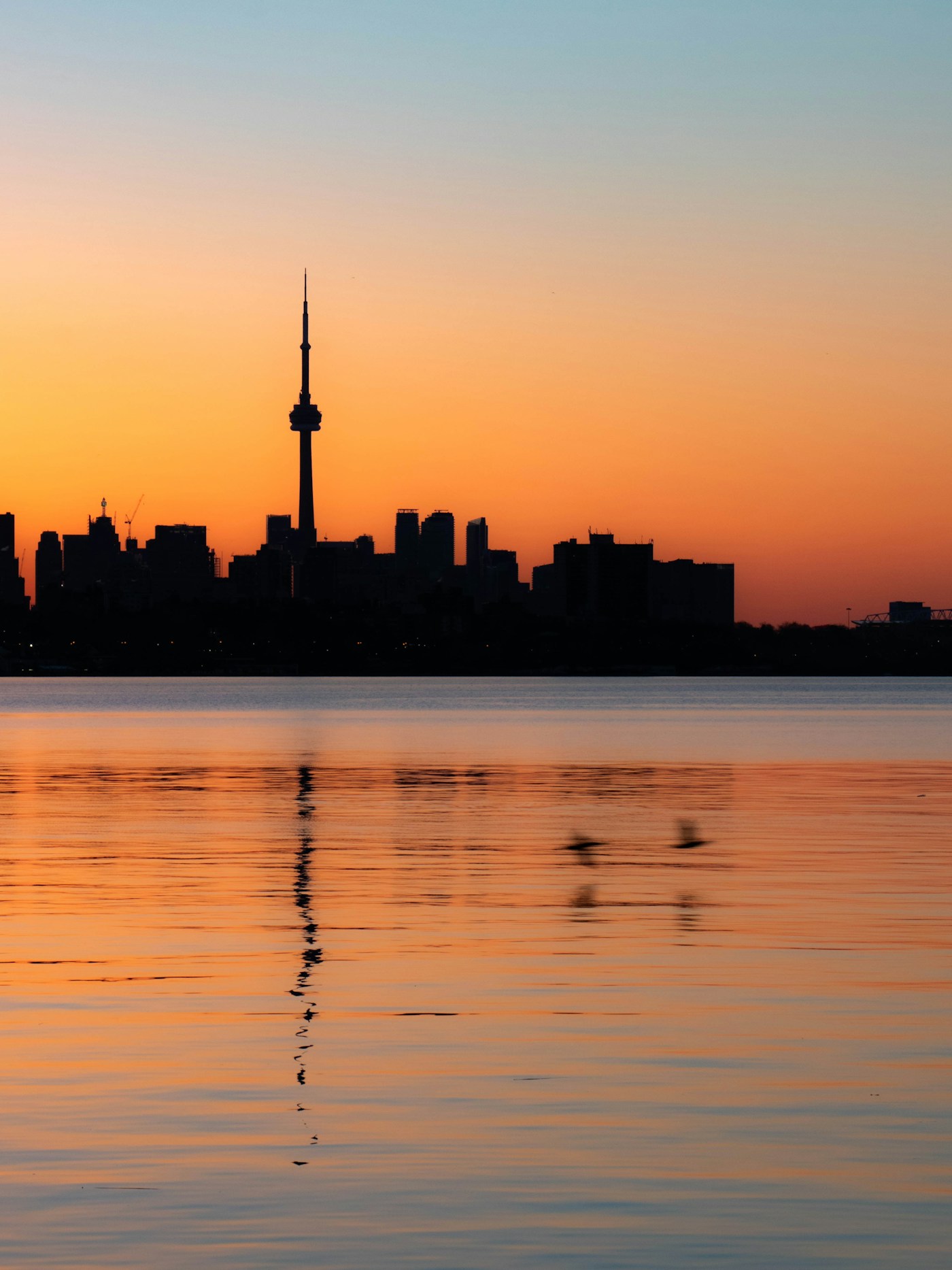 Toronto skyline and CN Tower at sunset
