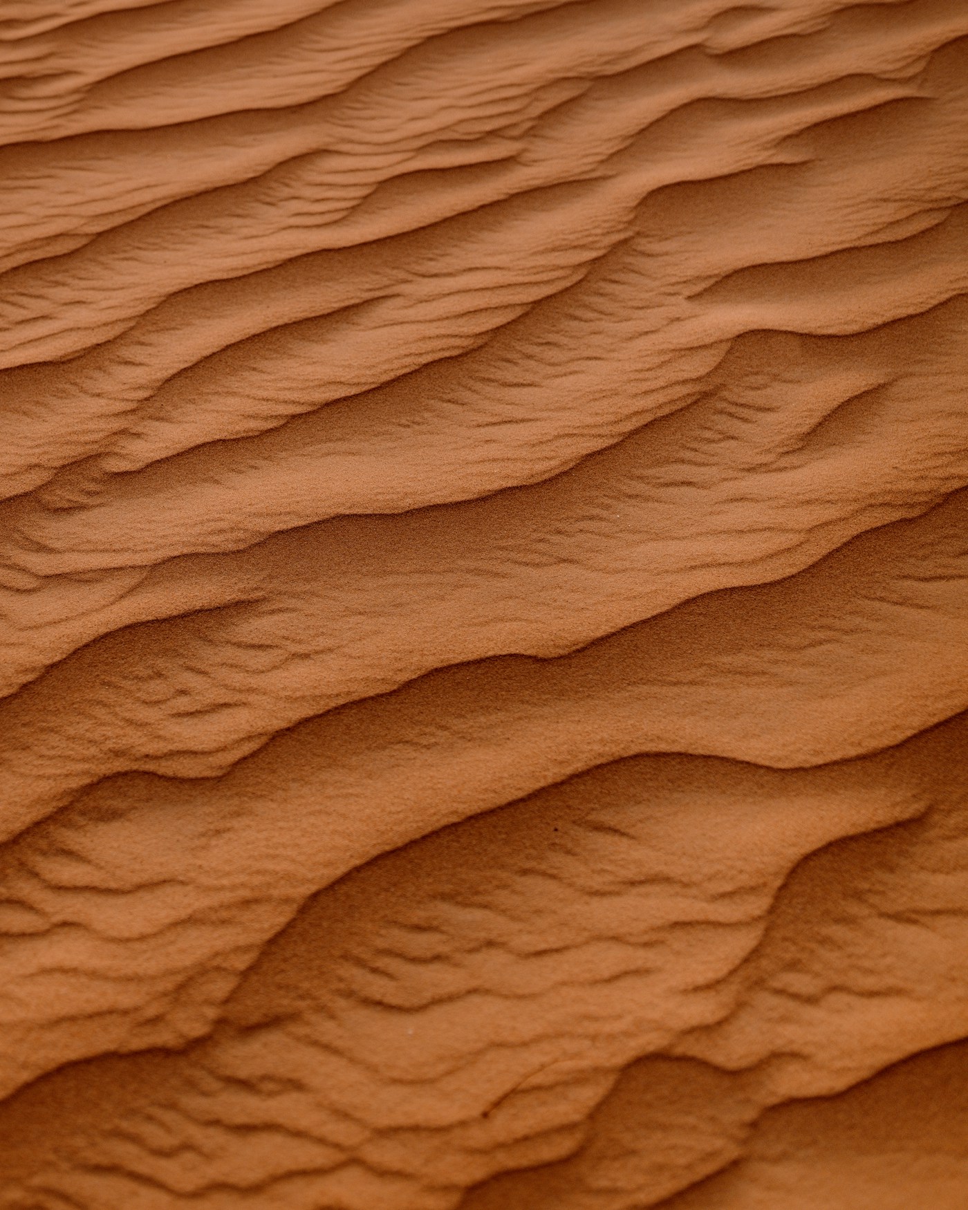 Sculpted sand dunes in the Dubai desert