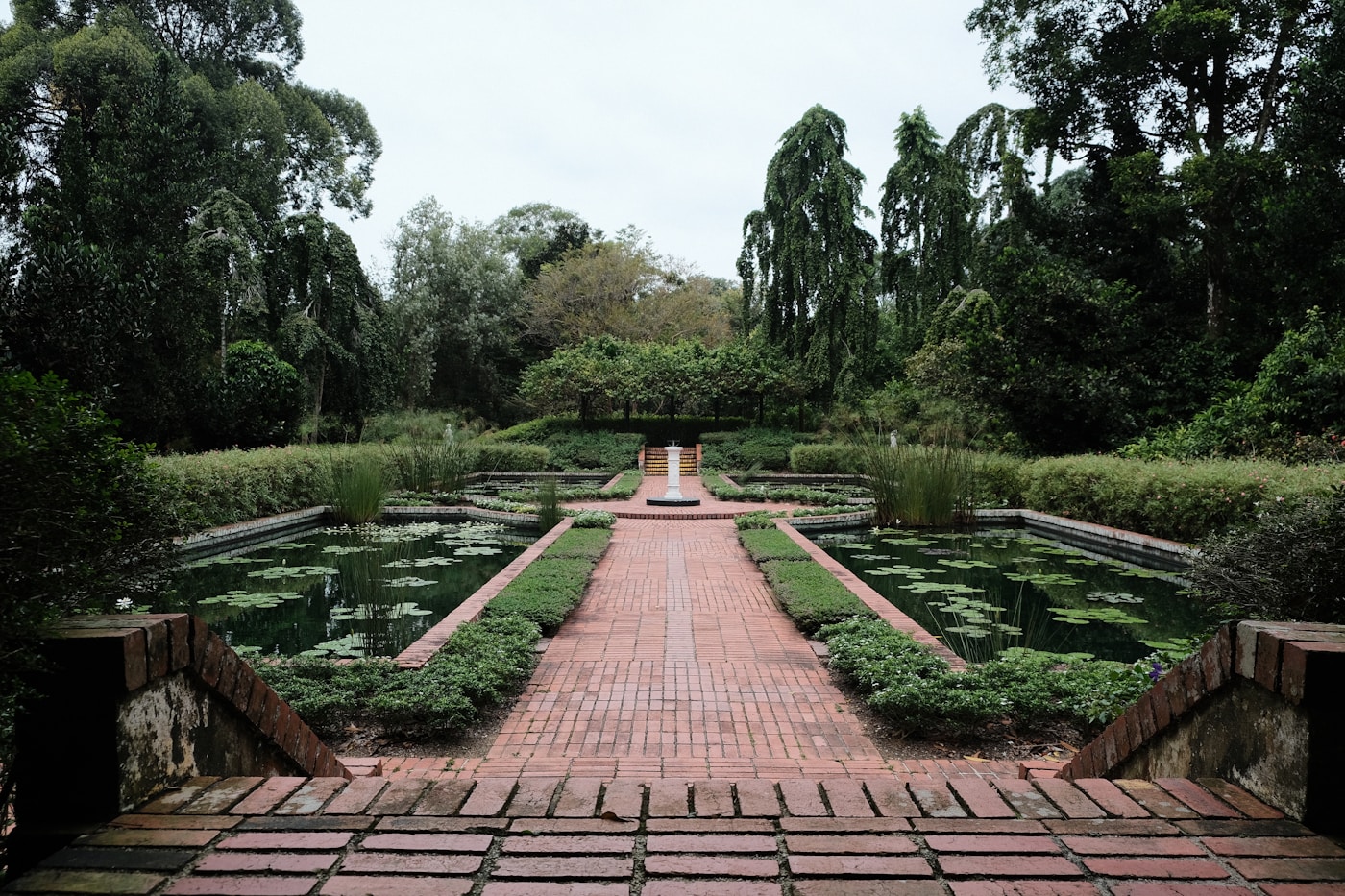 Paths and lily ponds in the Singapore Botanic Gardens