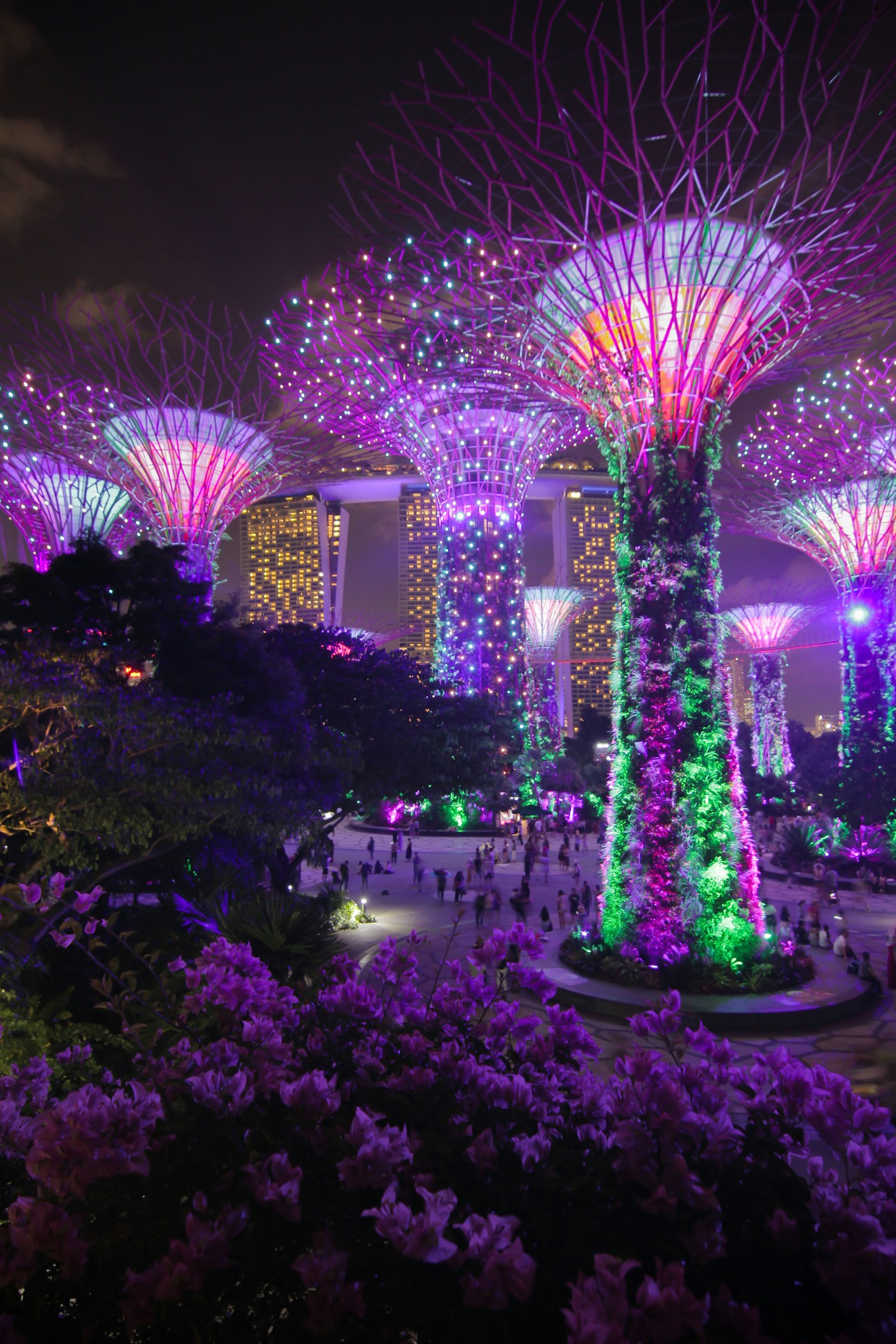 Illuminated Supertrees at Gardens by the Bay